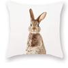 Decorative Pillowcase Cute Gray Rabbit on White Background Decorative Pillow Cover Bedroom Sofa Square