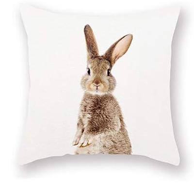 Decorative Pillowcase Cute Gray Rabbit on White Background Decorative Pillow Cover Bedroom Sofa Square