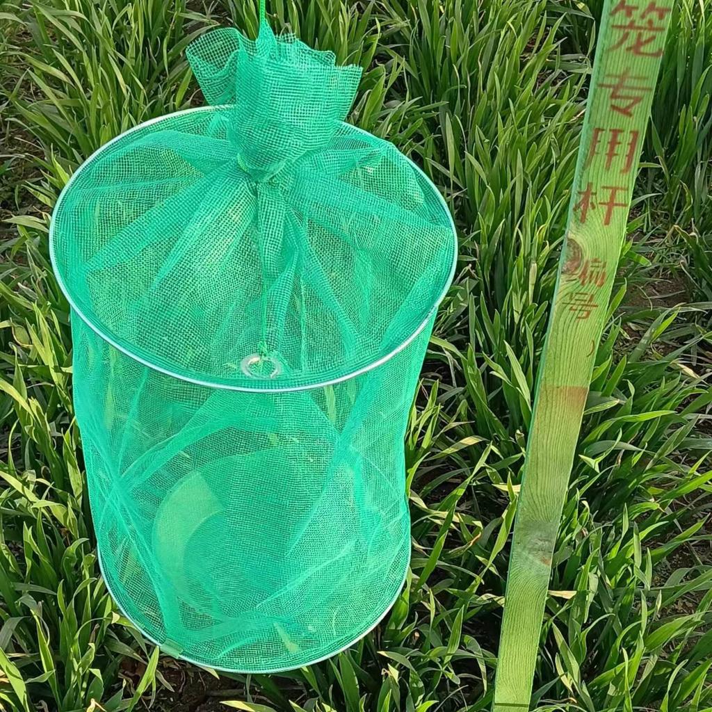 Dragon Knight Outdoor Fly Trap with Drawstring Top