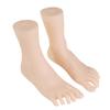 Set of 2 Female Foot Replicas PVC Construction Foot Mannequin Foot Anatomy Training Tool Suitable for Shoe Marketing