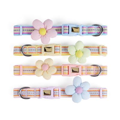 Perros – Collares y correas