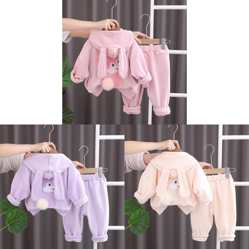 Baby Girl Animal Print Fleece Hoodie And Pants Set For Toddler Winter Casual Wear
