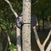 Travel Clothesline Outdoor Camping Drying Non-Slip Clothes Line Windbreak Slip Suction Cup Elastic