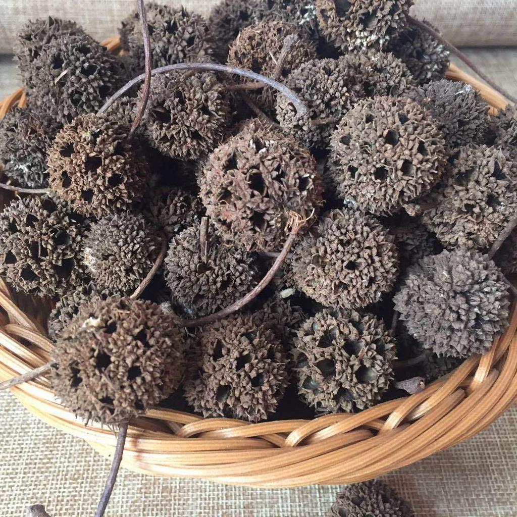 Christmas Pine Cones & Dried Flowers Pack - Eucalyptus, Pine Wood, Cotton, Handmade Photography Props
