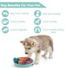 2 In 1 Dog Slow Feeder Bowl Help Stopping Chewing Prevent Obesity Avoid Vomiting Improve Digestion Form A Healthy Eating Habit