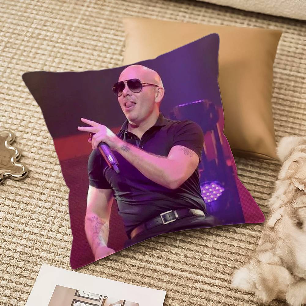 Mr Worldwide P-Pitbull Pillow Case Anti-dustmite Invisible zipper Sofa Bed