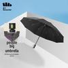 Beneunder Fully Automatic 10-Rib Folding Umbrella