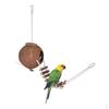 Coconut Bird House, with Hanging Rope and Ladder, Easy To Indoor Outdoor