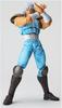 Revoltech Ray White Hair Fist of the North Star REVOLUTION Series 009 Ver. No.