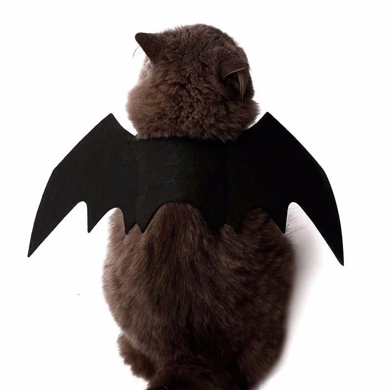 Creative Halloween Cute Pet Clothes Black Bat Wings Harness Costume Halloween Cosplay Cat Dog Halloween Party For Pet Supplies