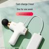 AUX Portable Deep Tissue Massager with Heat CN plug (adapter included)