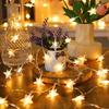 LED Star & Ball String Lights for Celebrations