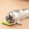 Katzenkratzer mit abgerundeten, stumpfen Kammzähnen, integrierte Katzenminztabletten, Kleberückseite, Katzenpflege-Werkzeug, Möbel