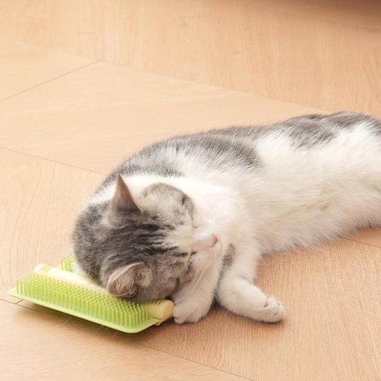 Katzenkratzer mit abgerundeten, stumpfen Kammzähnen, integrierte Katzenminztabletten, Kleberückseite, Katzenpflege-Werkzeug, Möbel