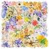 50 Sheets Waterproof Transparent PET Watercolor Stickers for DIY Graffiti and Decoration