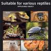 Transparent Reptile Tank  For Lizards Geckos Snakes Spiders Scorpions Beetles Centipedes