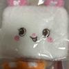 NCT Wish Sakuya Color Pop-Up MD Wisidoll Pine Pouch