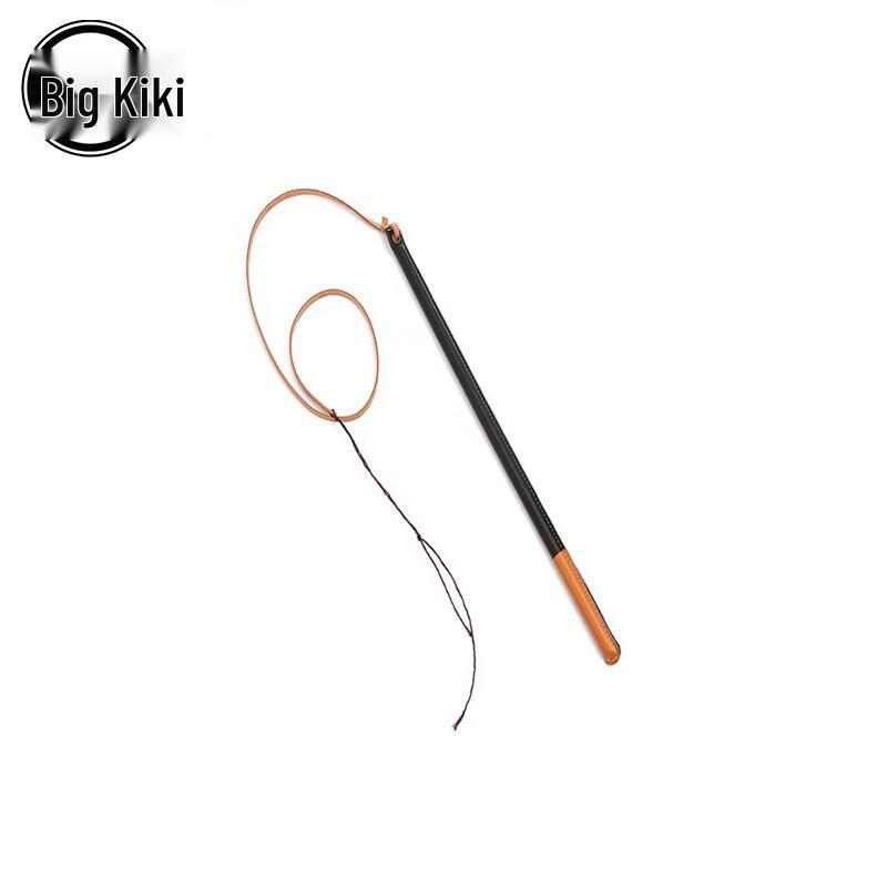 Dog Training Sound Whip One Size