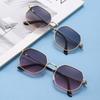 Fashion Double Bridges Polygon Sunglasses Women Men Outdoor Driving Shades UV400 Gradient Lens Metal Small Sun Glasses Unisex