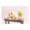 Takeoff Plush Rabbit Maron with Music Box Netherland Dwarp Beige Total Length 19cm