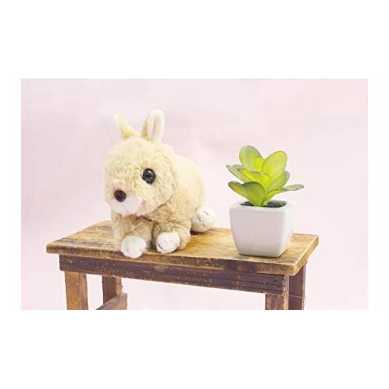 Takeoff Plush Rabbit Maron with Music Box Netherland Dwarp Beige Total Length 19cm