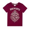HARRY POTTER Girls Hogwarts Crest Glitter Pajama Set
