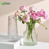 Elegant Glass Decorative Vase Collection