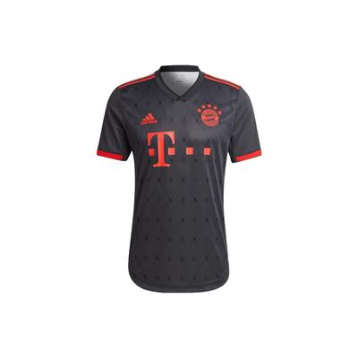 adidas Dres FCB 3 AU s logem a znakem Bayernu Mnichov, termotransferový, pánské sportovní topy, noční obloha šedá H39910