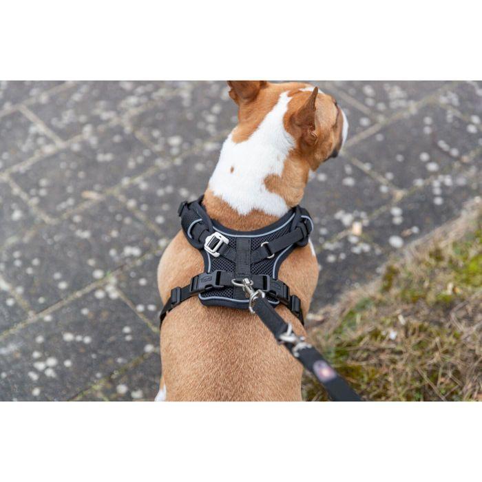 Harnais Pour Chien - TRIXIE - Premium FlexMesh - Noir - Grand - Extérieur