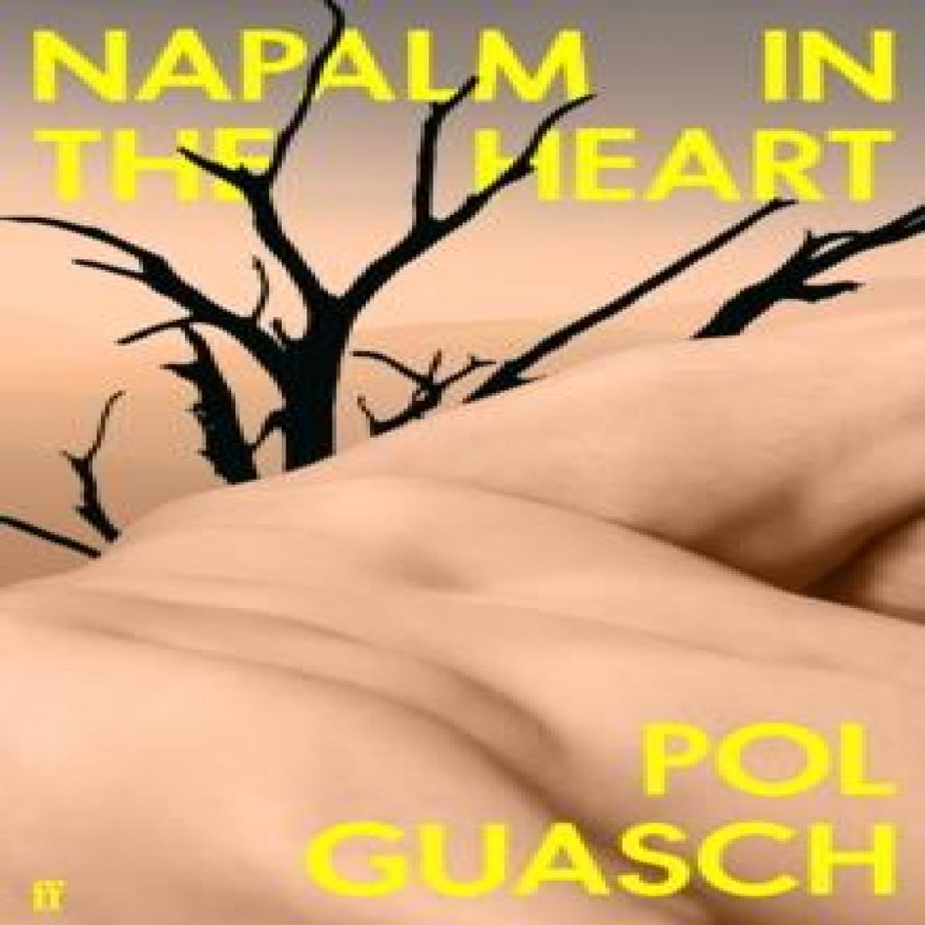Napalm in the Heart by Pol Guasch Hardback Book 9780571375257