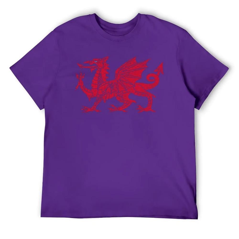 WALES FLAG RED DRAGON (DISTRESSED) Classic T-shirt Harajuku Sport  Casual Tees Graphic Vintage Aactivity Competition Eur Size