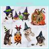 Kitten Puppy Pumpkin Halloween Sticker For Festive Home Decoration**