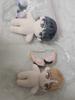 Soltan Escape Machine Ukyo Hajin 10cm Doll