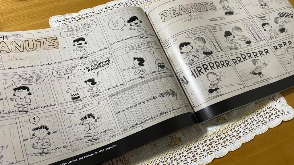 [USED] Snoopy Peanuts 65th Anniversary Art Book