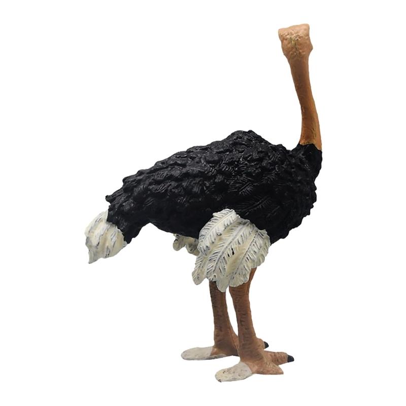 Реалистичные фигурки страусов Коллекция «Королевство диких животных» Развивающая обучающая игрушка Модель страусов Подарок Взрослые Дети 1