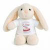 Planetee Plush Baby Rabbit Comfort Toy Future Best Notary Clerk Gift for Boy Newborn Baby Shower