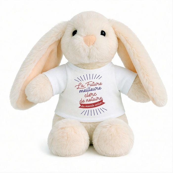 Planetee Plush Baby Rabbit Comfort Toy Future Best Notary Clerk Gift for Boy Newborn Baby Shower