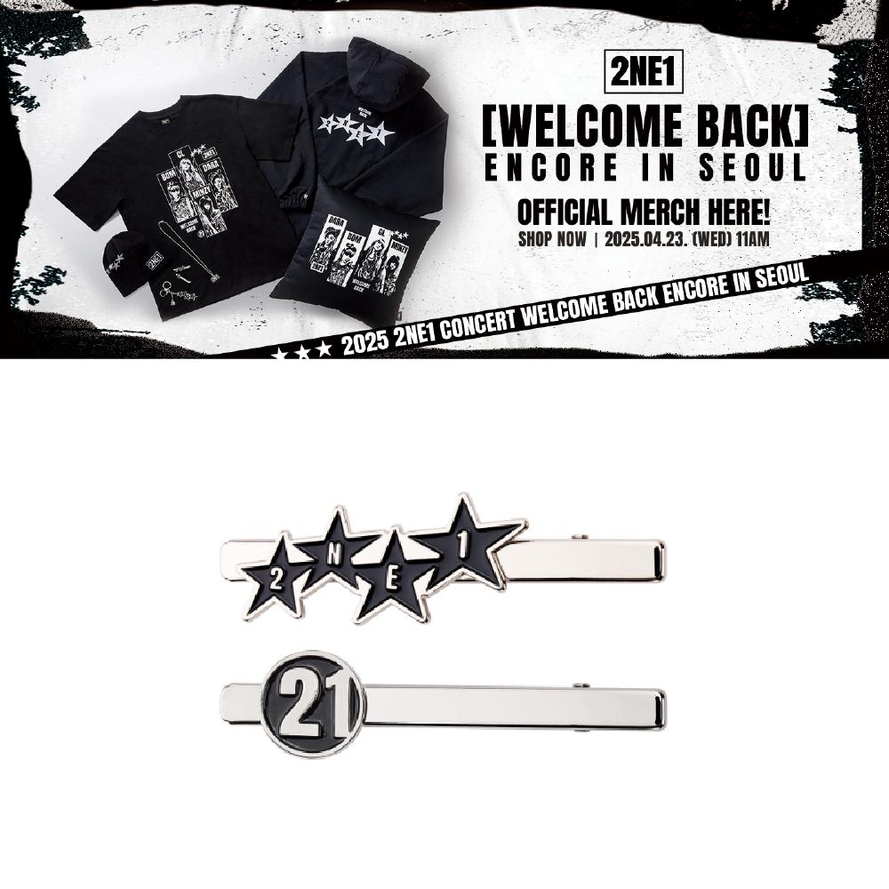 

2025 Концерт 2NE1 WELCOME BACK Encore в СЕУЛІ Набір шпильок для волосся