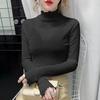 Lace Base Shirt Women's Long Sleeved Mesh Inner Top High Neck T-shirt Gauze Jacket