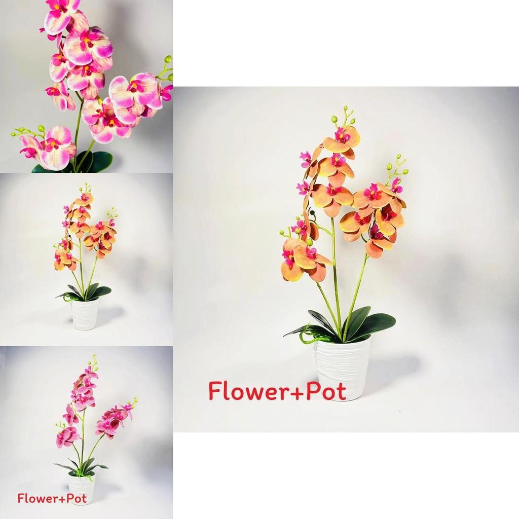 Phalaenopsis Fake Potted Plant Blossom With Pvc And Injection Molding For Office Table Decor