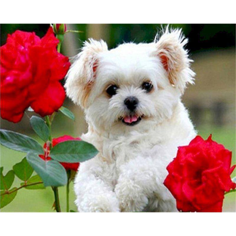 5D Diy Diamond Painting Kit Dog Animal Cross Stitch Embroidery Set Full Rhinestone Mosaic Home Decoration Picture