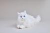 SEGA FAVE KIMIT Ragdoll (White) Pet Robot Cat