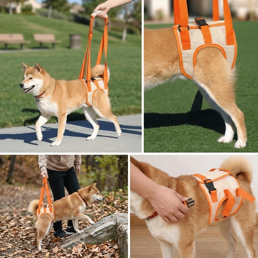 Lightweight Build Dog Lift Harness Breathable Mesh Dog Support Strap Injury Assistance