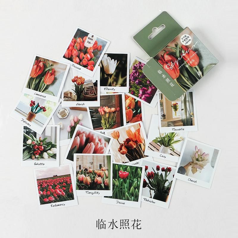 Journamm 46pcs Cute Bear Kawaii Creative Mini Sticker Decoration Diy Ablum Diary Scrapbooking Label Sticker Stationery Supplies