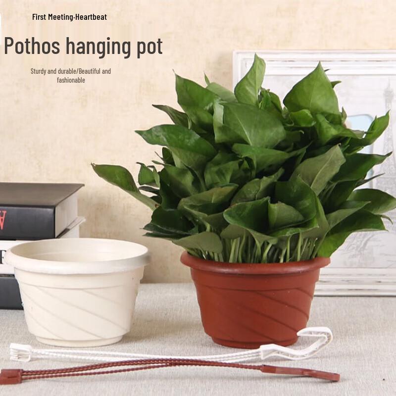 Beifute Thickened Hanging Plastic Planters (3-Pack)