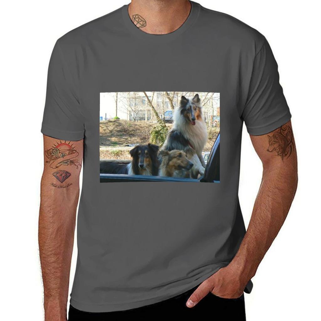 All Aboard TShirt Retro Graphic Print TShirt