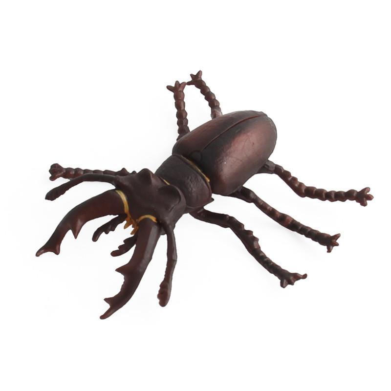 Realistic Pvc Insect Bees Spiders Model Set For Science Education And Collection Display