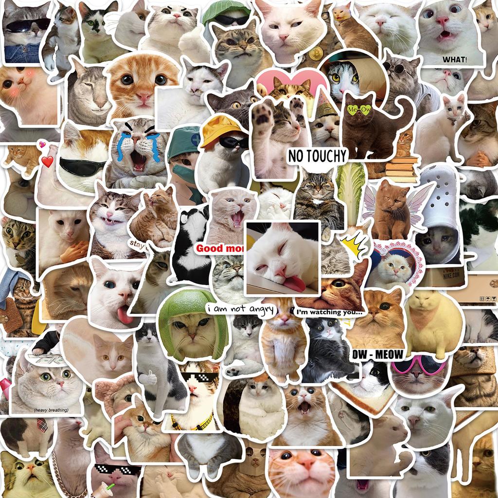 100 Cat MEME Graffiti Stickers Decorate Guitar Notebook Suitcase DIY Waterproof