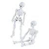 Educational Skeleton Model Figure, 9cm Articulated Human Anatomys Model Display Bring Unforgettable Experience