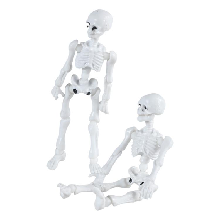 Educational Skeleton Model Figure, 9cm Articulated Human Anatomys Model Display Bring Unforgettable Experience